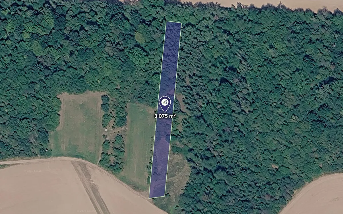 Prodej lesa 3075 m²
